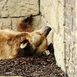 20150403-122648-279-N