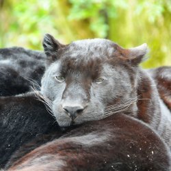 20150403-123902-331-N