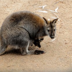 20150403-124314-347-N