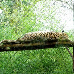 20150403-124440-351-N