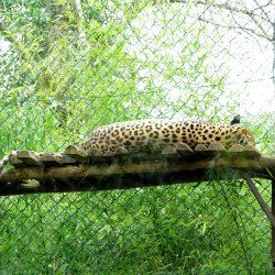 20150403-124440-352-N