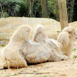 20150403-124537-355-N