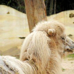 20150403-124541-356-N