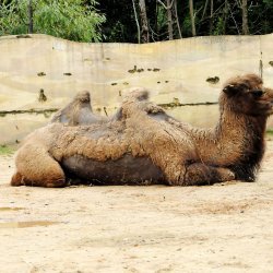 20150403-124546-357-N