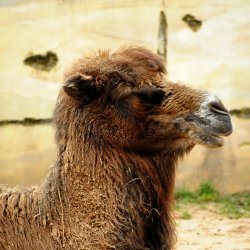 20150403-124555-361-N