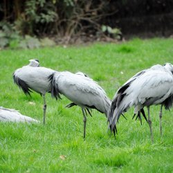 20150403-124741-362-N