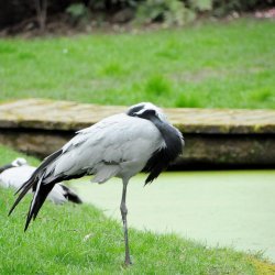 20150403-124746-363-N