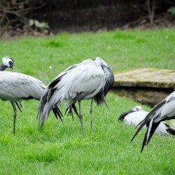 20150403-124751-365-N