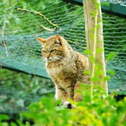 20150403-124828-367-N