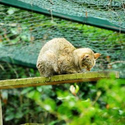 20150403-124831-369-N