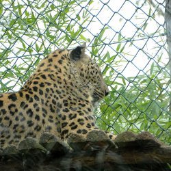 20150403-125157-371-N