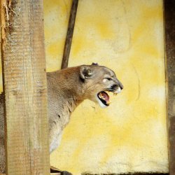 20150403-125323-373-N