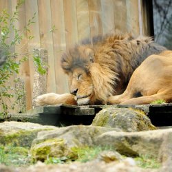 20150403-125500-376-N