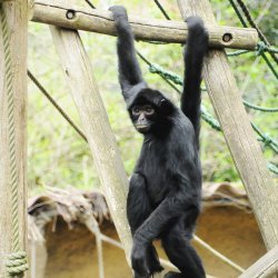 20150403-125527-379-N