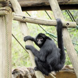 20150403-125531-380-N