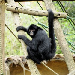 20150403-125532-381-N