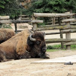 20150403-125810-392-N