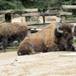 20150403-125817-394-N