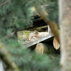 20150403-125901-395-N