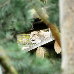 20150403-125906-398-N