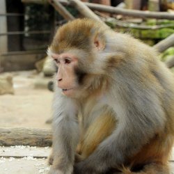 20150403-130816-401-N