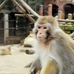 20150403-130817-402-N