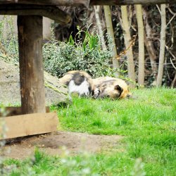 20150403-131125-412-N