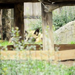 20150403-131132-413-N