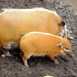 20150403-131207-415-N