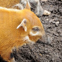 20150403-131218-416-N