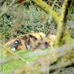 20150403-131253-417-N