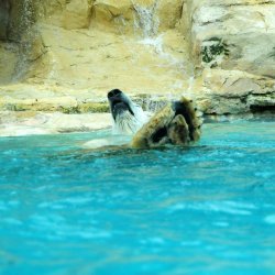 20150403-131849-420-N