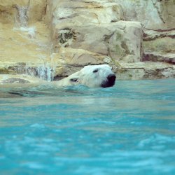 20150403-131851-421-N