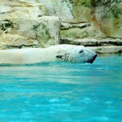 20150403-131852-422-N