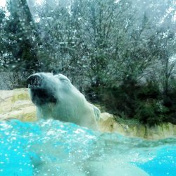 20150403-132006-427-N