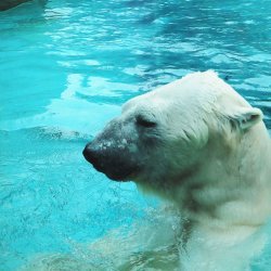 20150403-132027-428-N