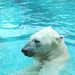 20150403-132027-429-N