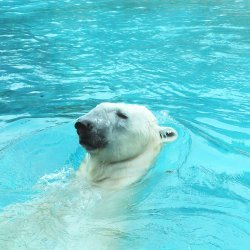 20150403-132027-431-N