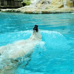 20150403-132029-433-N