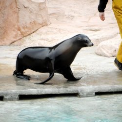 20150403-133752-434-N