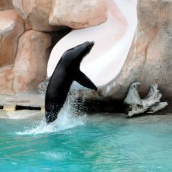 20150403-133811-435-N