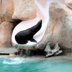 20150403-133811-437-N