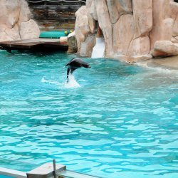 20150403-133846-441-N