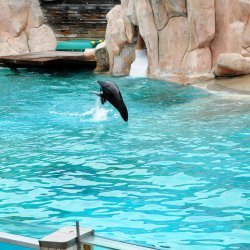 20150403-133846-442-N