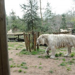 20150403-141149-444-N