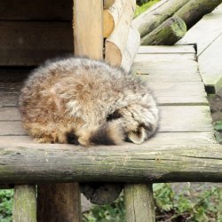 20150403-141535-445-N