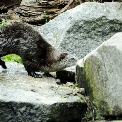 20150403-141633-453-N