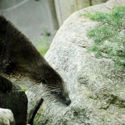 20150403-141639-457-N