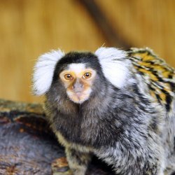 20150403-141917-465-N