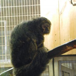 20150403-141956-473-N